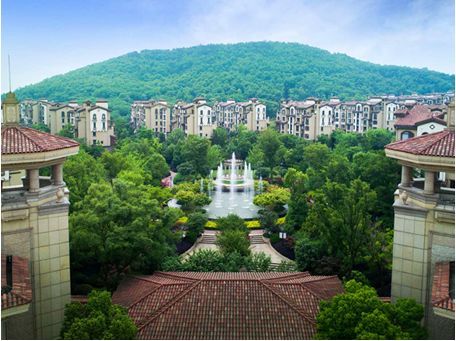 重磅！蜀山區稀缺純洋房11月18日正式亮相，闊景雅奢人居禮獻全城