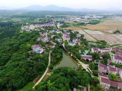 植綠不止，春山可望！馬鞍山市這個(gè)縣扛起高質(zhì)量發(fā)展“綠色擔(dān)當(dāng)”
